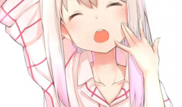 埃罗阿芒老师动漫